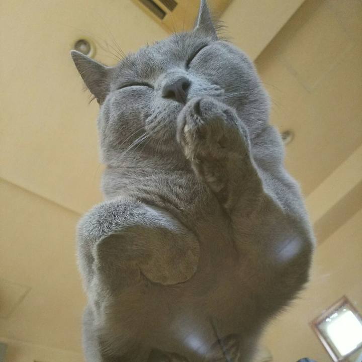 4ececb3b 6d56 4f9e a28a bc1b02f179aa