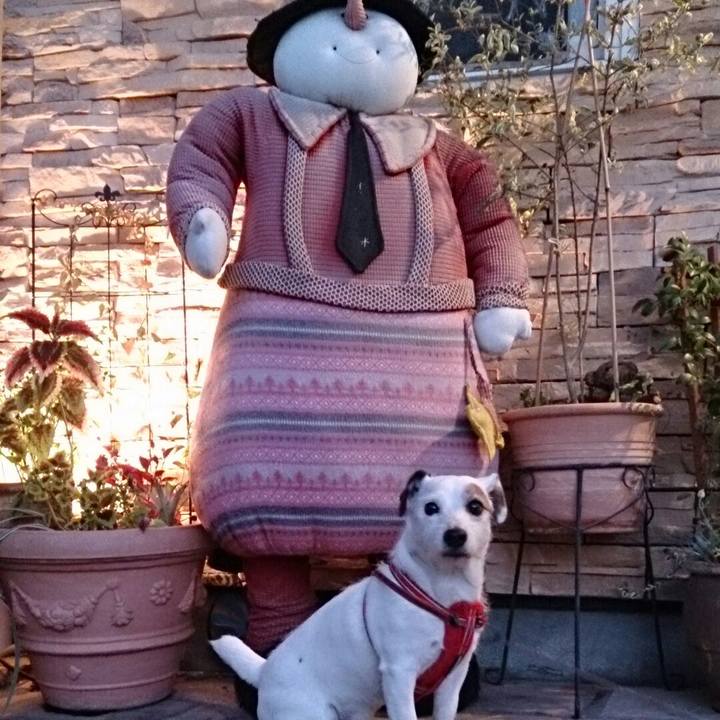 4ecf0565 7edb 41b1 9b5d ad6fc0b82c15