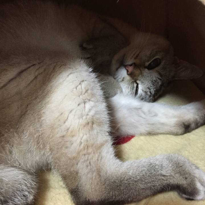 4ed0a660 04d0 40ba b134 7decd3d3aebe