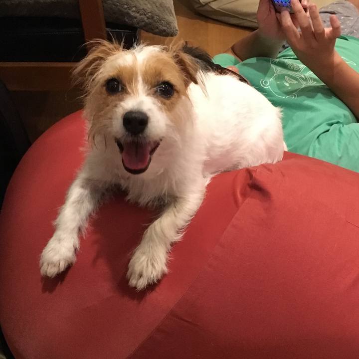 4ed17ed6 bf3a 4c86 b1d5 61991733c078