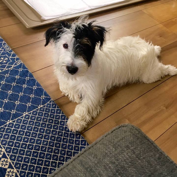 4ed2fea3 60ba 421e 8992 827d3054e7fb