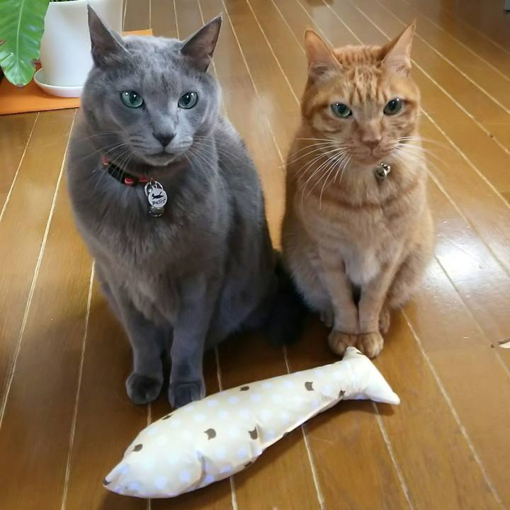 4ed35f16 926f 4e8e 8139 a6d6687bae3d