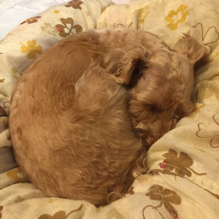 4ed36090 2b87 4a10 b8fb 4590dccf538f