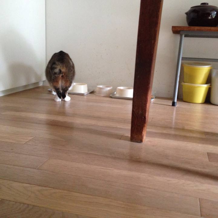 4ed37590 1616 4590 bb4f 2ca508376cee