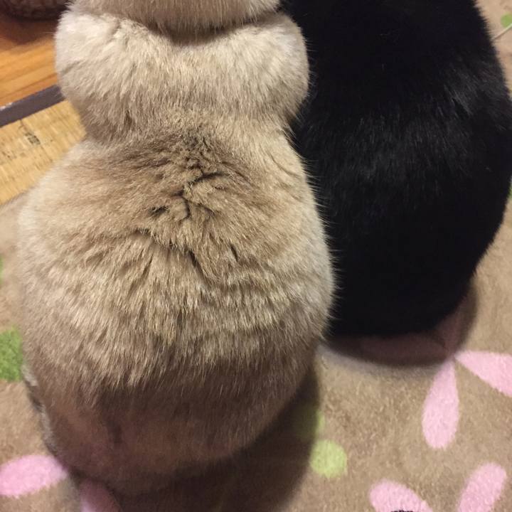 4ed3885c 1b70 4d2a a906 2a8f03a8b5e6