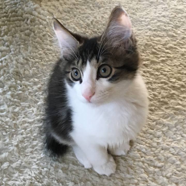 4ed5185f 9a79 4b36 a992 f821599cefc4