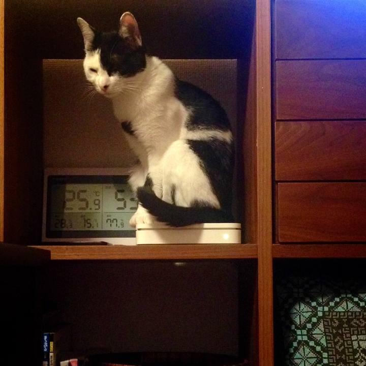 4ed58a81 8971 441b 9ebe 0d7f29473c12