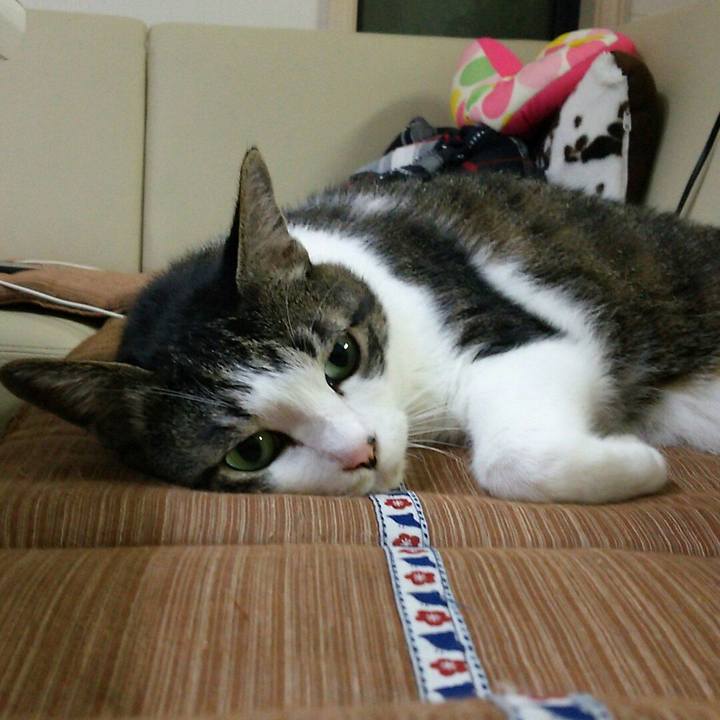 4ed61fb9 545e 4408 bdb0 f3670ab10c38