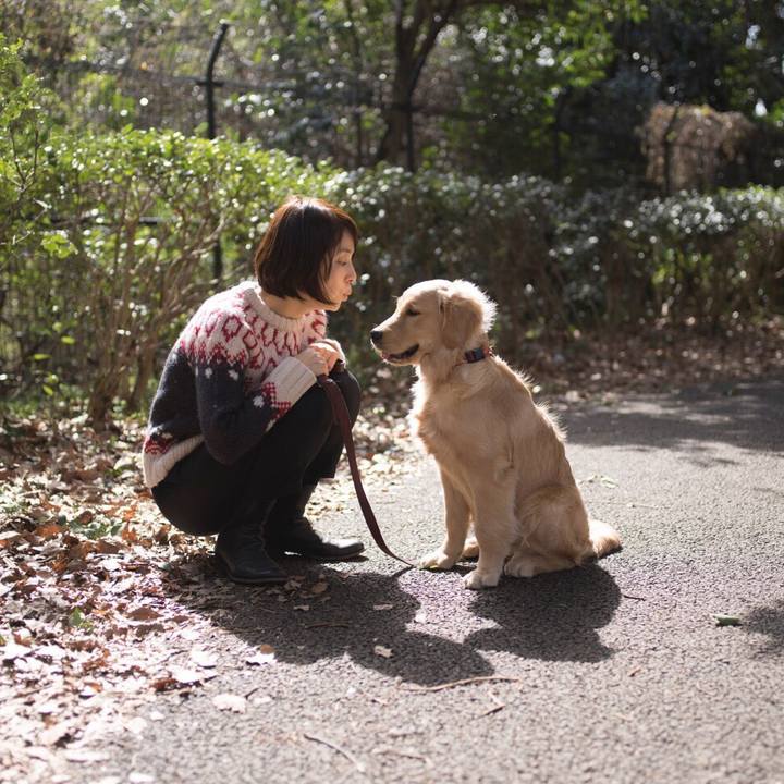 4ed6bcc6 8283 43d6 af8b e14e0ed62561