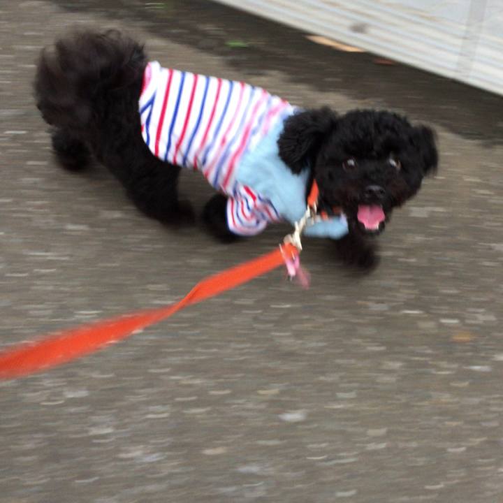 4ed73181 3366 4ba3 94c9 0262613d6b03