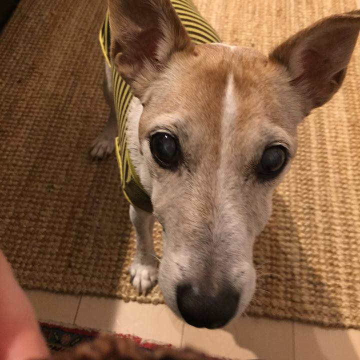 4ed7d20c 8464 4dc2 b68f 578fc96b208a