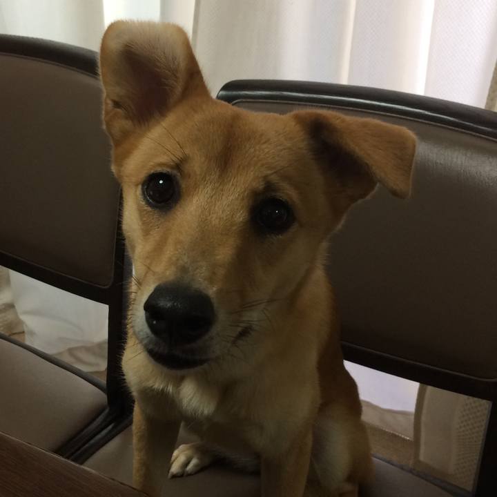 4ed7f847 c5a4 4f47 9d88 444e895f7d4d