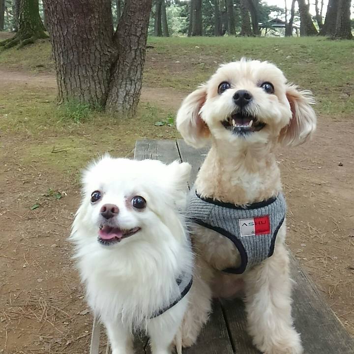 4ed8c442 c4ea 4583 ac80 4b7607cf2486