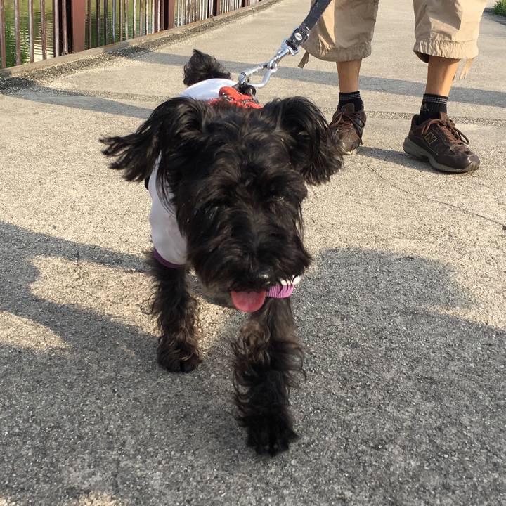 4edaa67d f157 480b 81a6 cfd03edd63c7