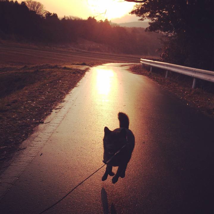 4edb9951 4fbb 435a b9d2 9fdd506272a6