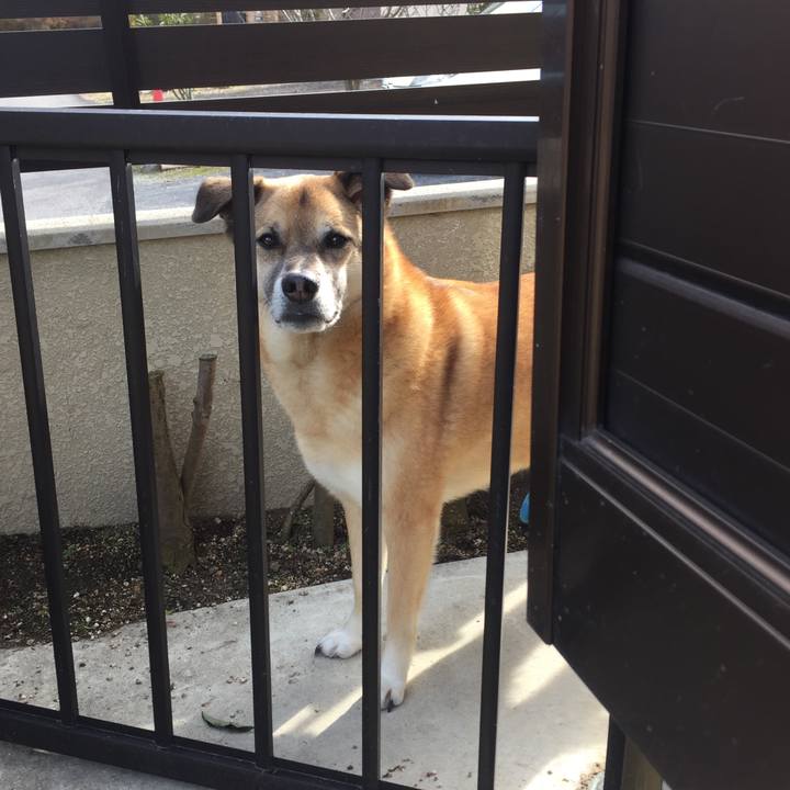 4edba5a7 761f 4894 989a 9e121a6156d9