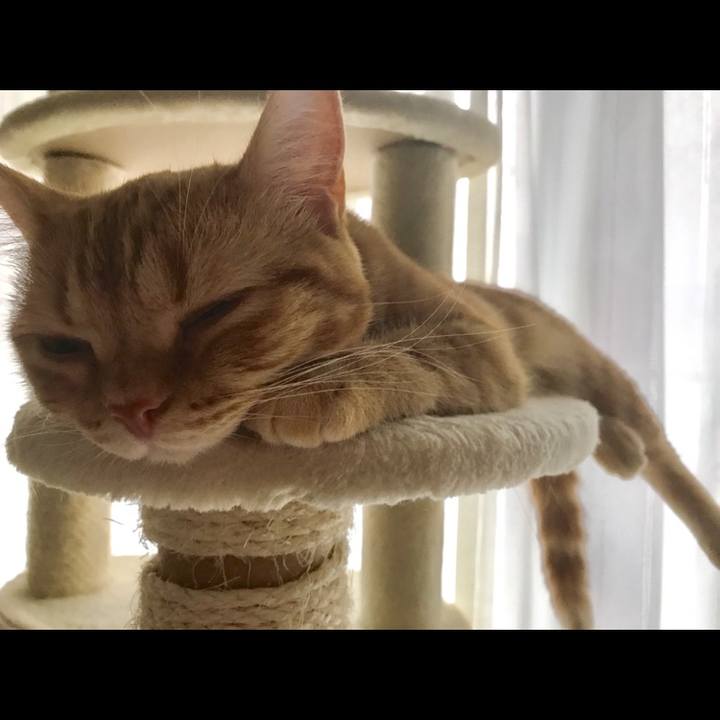 4edbdd96 d2fc 41ab b698 e30156c4cfd3