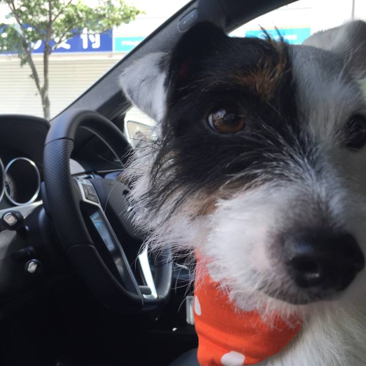 4edbea16 76d7 4971 b17c f902978f82c2