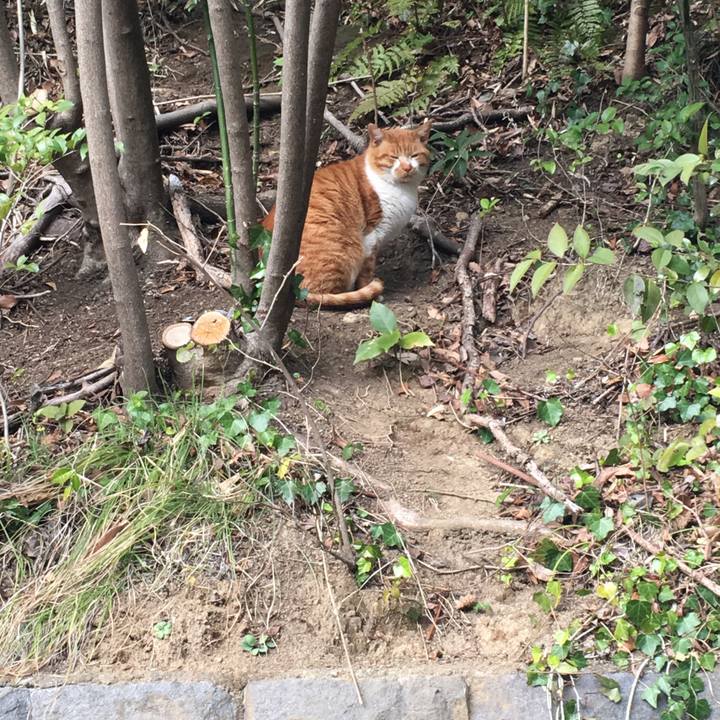 4edc958f 3024 4abb 84ca af0969b51ebd