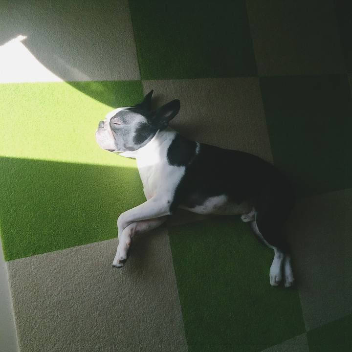 4edca1c5 f1ef 41aa 99d8 33c9634517d9