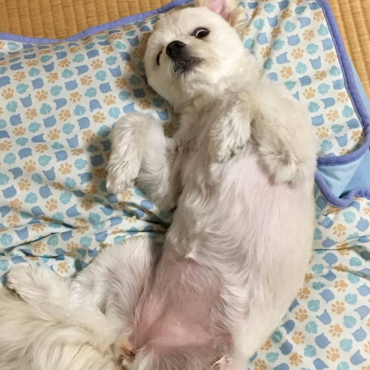 4edcb580 97f0 4f6d ab78 3d35a8cf8883