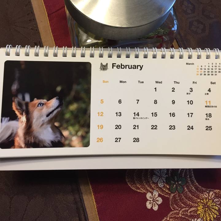 4edce8a3 d5c3 4d7f b273 cd2aa0a9fee1