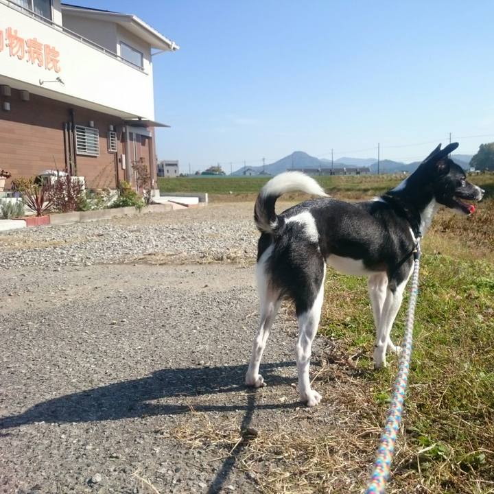 4edd277a 439f 40ff a912 cbecf5d7a707