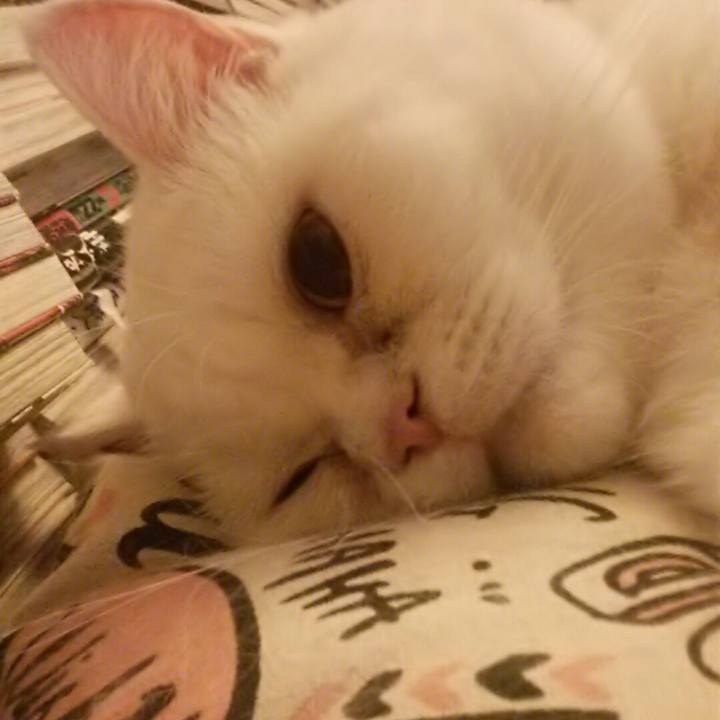 4edd2b6d 35a9 4195 852a a0c34491df5b