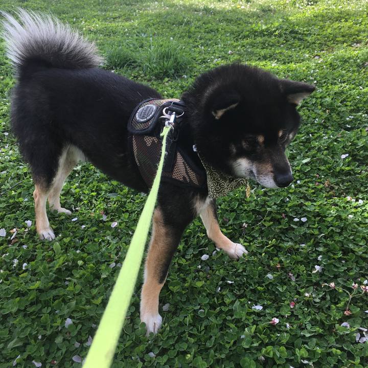 4edd33b4 4a81 43ad 8628 8f30627f2a5b