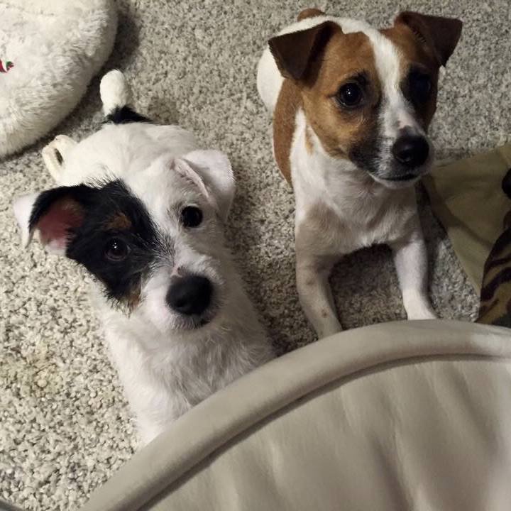 4edd36f6 abc1 46c1 8bb0 172af75ee61d