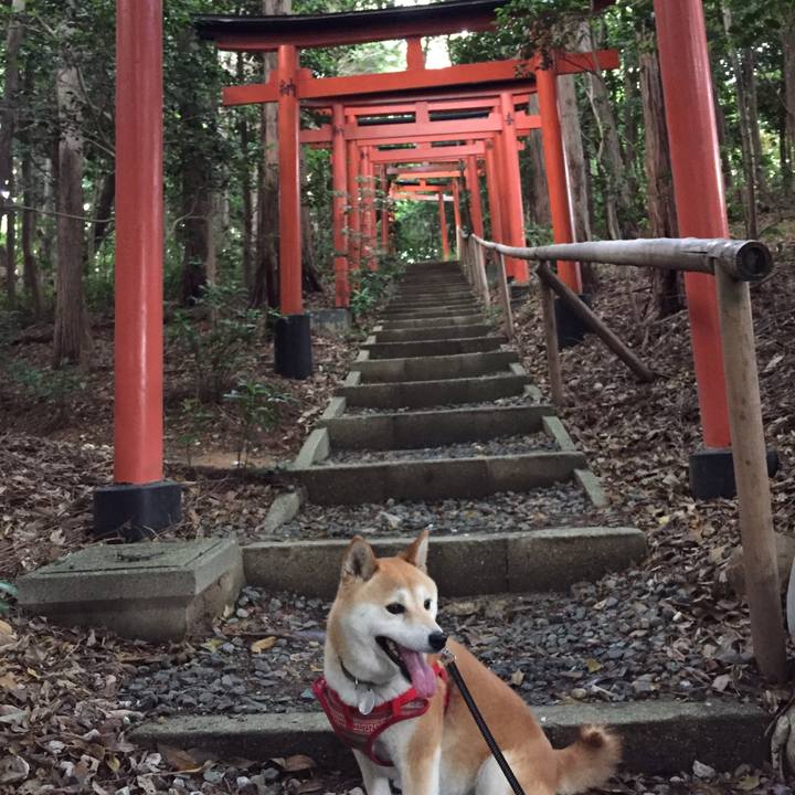 4edd82d3 f663 416d 8cd5 8ebaa8740710