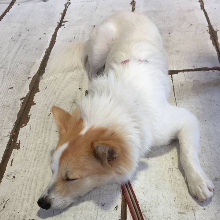 4eddb36c 6083 4be1 a306 d727c3c9d4a9