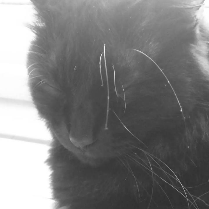 4eddff1d e27a 4665 94fe eabbc5c552d5