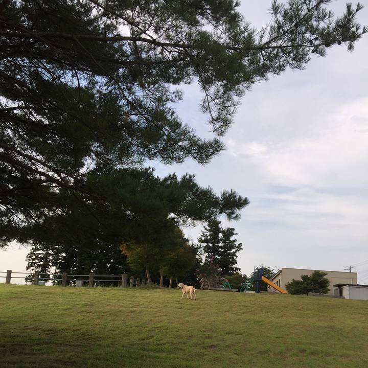 4ede62a4 9be5 49d5 a871 148a5bb83edd