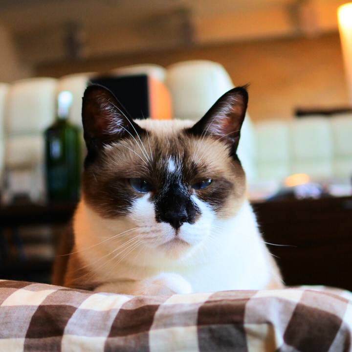 4edf8275 c2e1 41bc a695 8268f87aaf8d