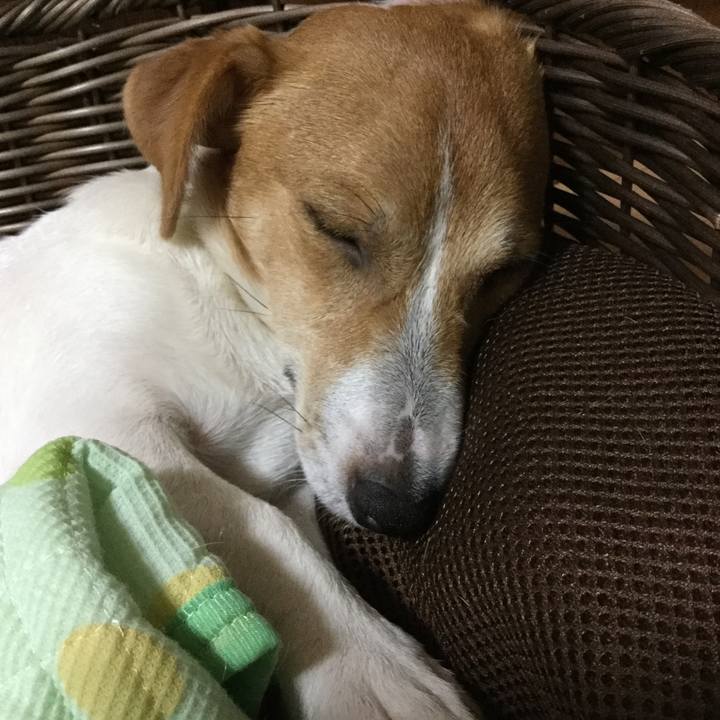 4edf8959 0e6e 43f3 81a7 a4c5eb5fe0c3