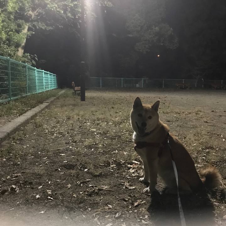 4edf90c5 4b21 4c77 beca f4b2ea0534ca