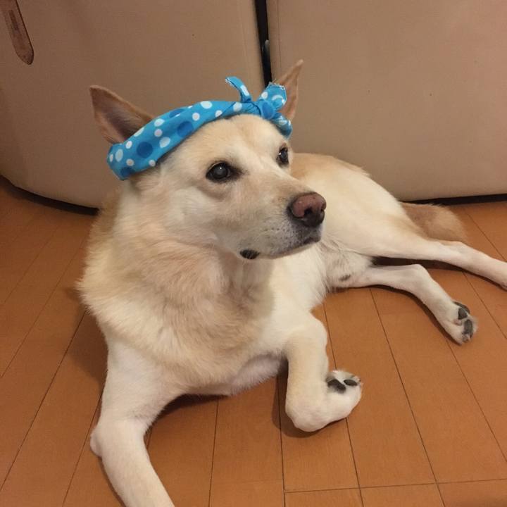 4edf9cce 4653 4bea 8009 43a21eade1f3