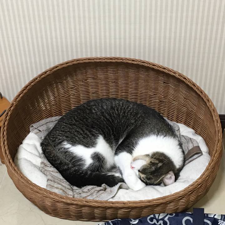 4edfdd83 61d8 4f3e bc34 993163181e4d