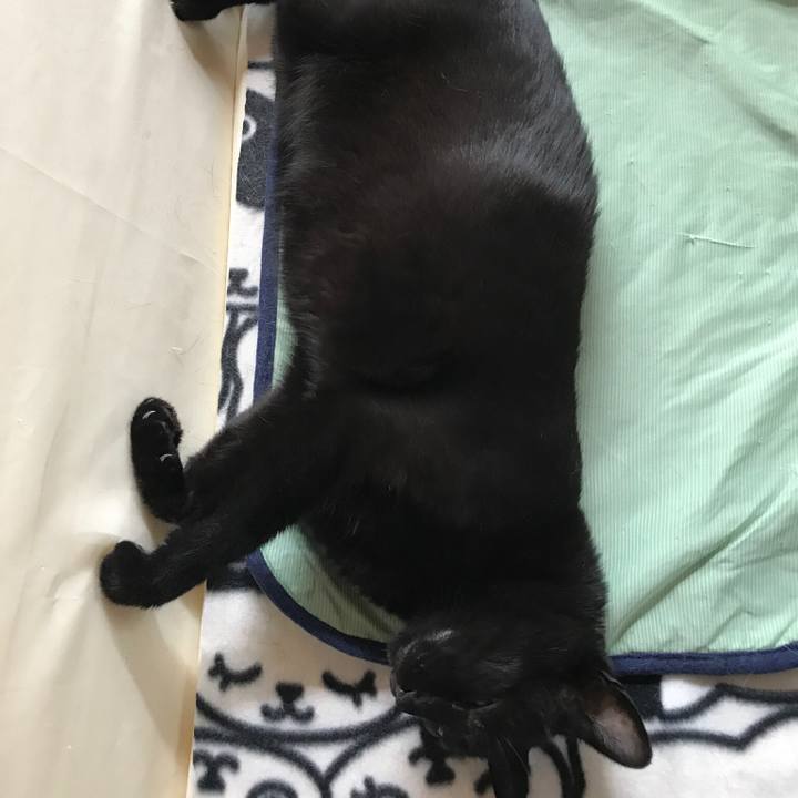 4edfe0e1 e901 4f2e 9378 348fe708bbdf