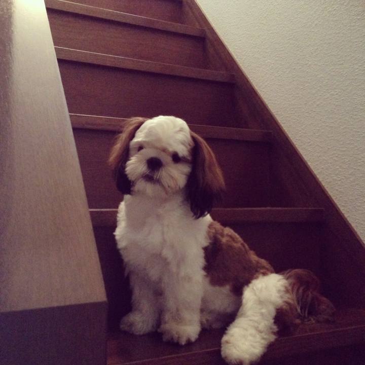 4ee00e3b dceb 4562 b636 c9880b4e37b6