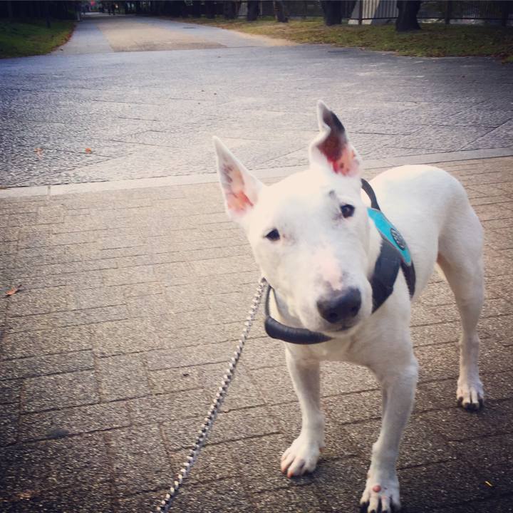 4ee026db 0049 4184 b0a6 6011c98947c1