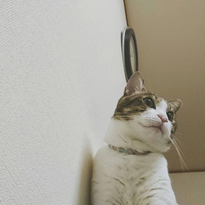 4ee05e33 203a 4966 a2ce 1be06dc696bd