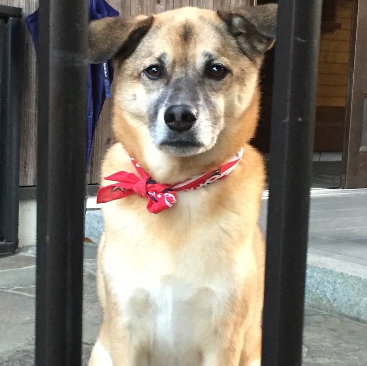 4ee08b3e 49a0 45ae b23f daf0befa18bd