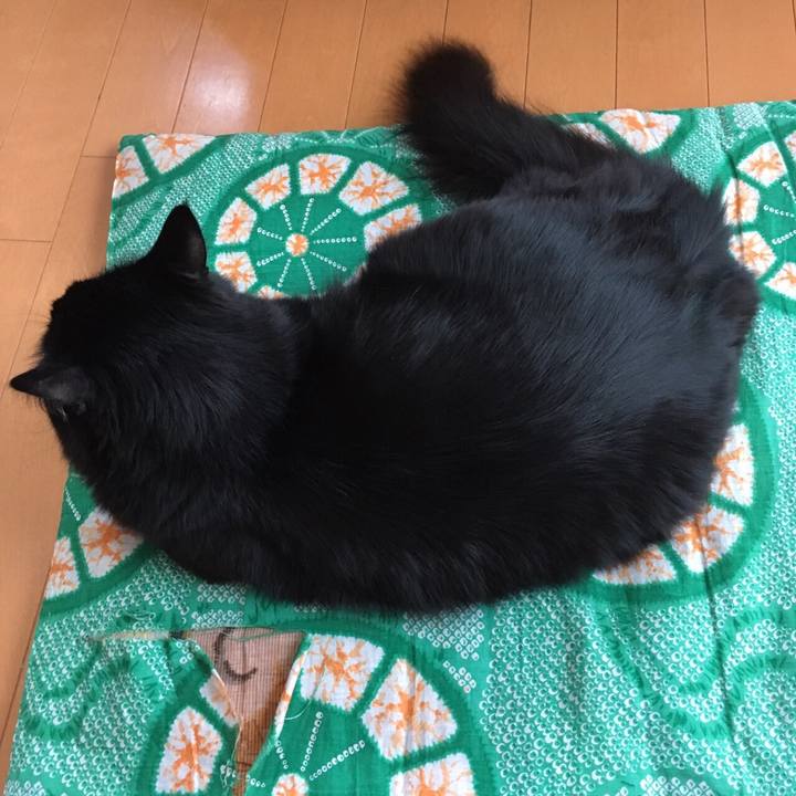 4ee1564f e601 4271 8a3f 0e432ce7c65e