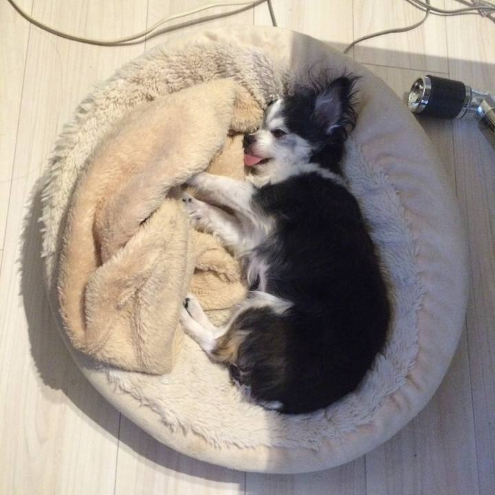 4ee2c709 2b76 4c58 8bf2 c42f0df8b850