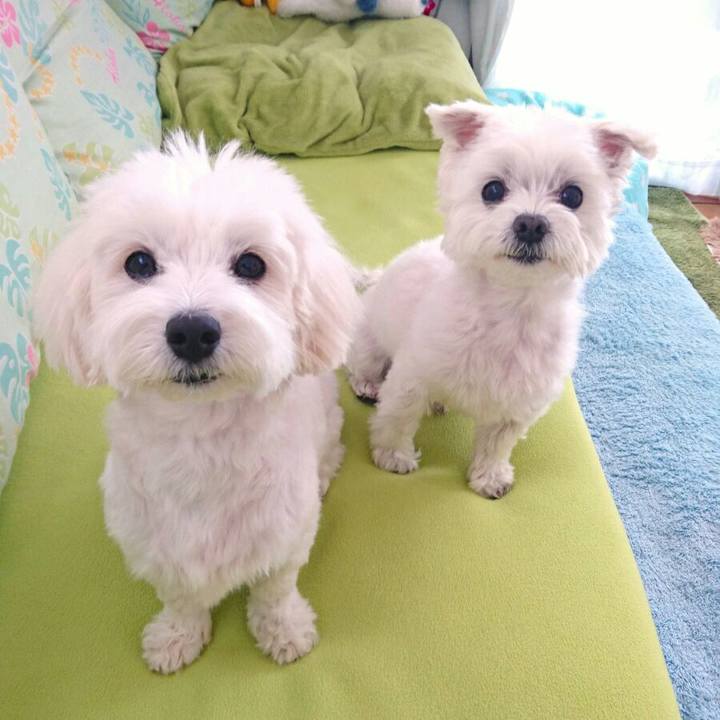 4ee37f56 a96d 4cdf a05b 3813f165e5d2