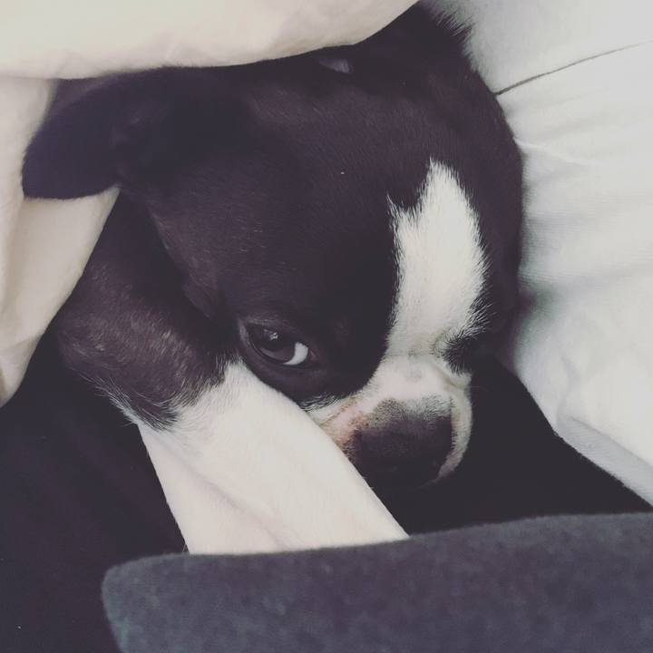 4ee3bd10 3dfc 4c54 9a83 c416c3ba4025