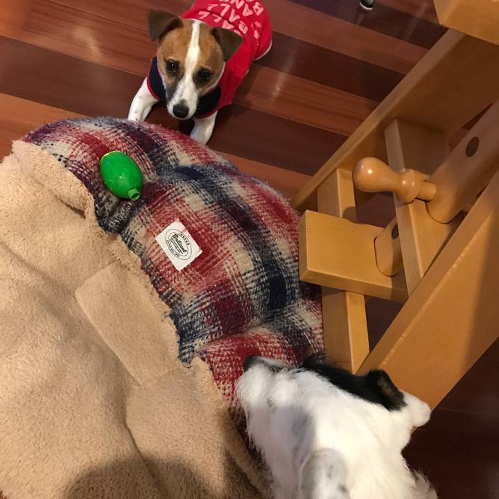 4ee40ced 0d7e 40a8 9b7b 6c7bf995af2f