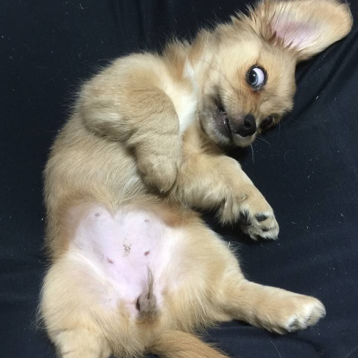 4ee41bef 29d4 479b 9ab2 b516dd7d54d6